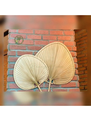 Renesse Home Bohem Palmiye Duvar Dekoru – Doğal Rattan Duvar Süsü (İkili Set) – Liberya