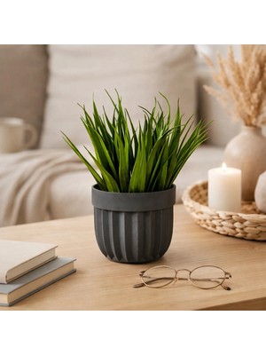 Eva Dekor Dekor Dekoratif Saksılı Yapay Çimen - Yeşil - 8 cm