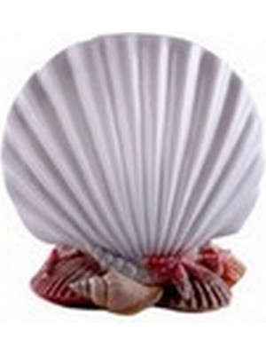 Özbience Şık ve Kullanışlı Diş Fırçalık, Hijyenik Saklama Çözümü