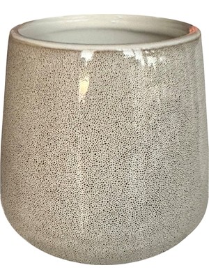 Özbience Renkli ve Şık Diş Fırçalık, Banyo ve Lavabo Dekorunuza Uyum Sağlar