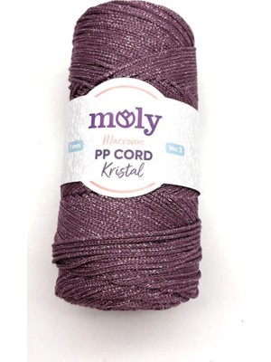 Angel Çanta Aksesuar Moly Yarn 200 gr Simli Polyester Makrome NO:077