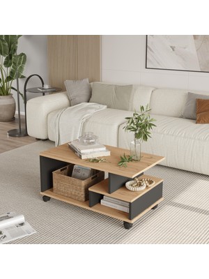 Yurupa Mina Tekerlekli  Orta Sehpa Bölmeli ve Raflı Fonksiyonel Salon Sehpası Sepet-Antrasit Mın9-Sa