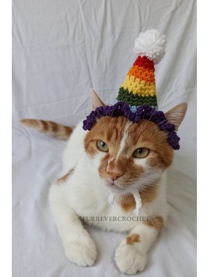 Özbience Renkli Gökkuşağı Doğum Günü Şapkası, Ponponlu Eğlenceli Pet Aksesuar