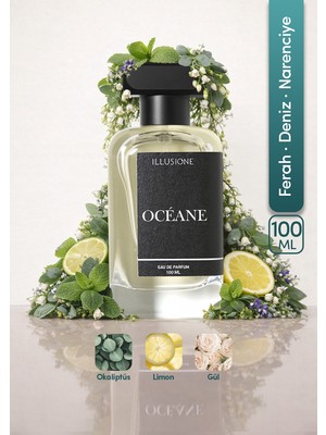 ILLUSIONE Océane EDP Erkek Parfüm 100ML Ferah Aromatik Limon Gül ile Deniz Esintisi