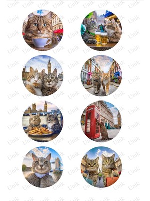 River Cats In London - Londra'da Kediler - Tek Sayfa 8 Set