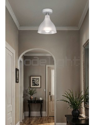 Allians Şeffaf Çok Amaçlı Tavan Lambası, Modern ve Şık Bir Tasarım