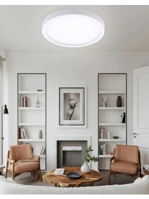 Allians 24W Metal Kasa Yuvarlak LED Armatür, 30CM, Beyaz Işık, Çok Yönlü Kullanım