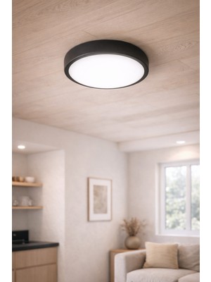 Allians Şık Siyah Tavan Armatürü, Beyaz Işık, 2000 Lümen, Tak Çalıştır, 25 cm