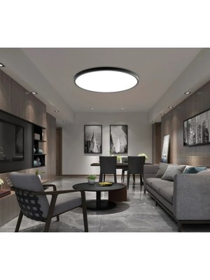 Allians 24W LED Avize, Beyaz Işık, Tavana Sıfır, Bahçe, Balkon, Banyo Için Ideal