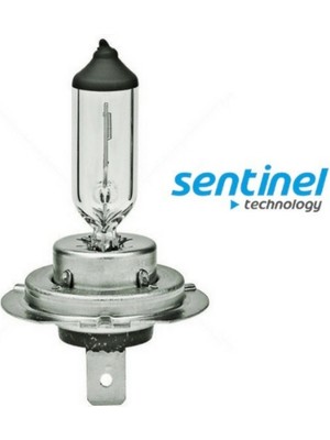 Hayat Store Sentinel H7 Halojen Far Ampülü 12 Volt 55WATT