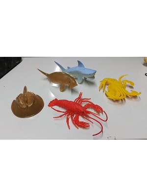 BNG STR Plastik Deniz Hayvanları Fok ve Köpek Balığı Yengeç Istakoz At Nalı 5 Parça