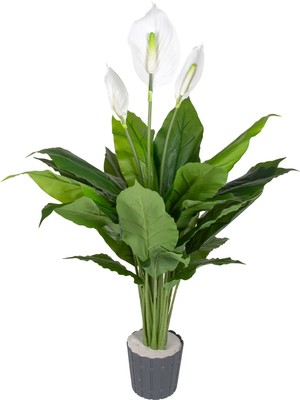 Herdekora Yapay Bitki Spathiphyllum-Yelken Çiçeği Gerçek Dokulu Yeşil-Beyaz 100 Cm.