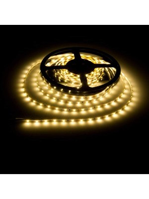 Allians Sıcak Beyaz LED Şerit Işık 5 Metre, Iç Mekan, Tek Çip, Parlak ve Uzun Ömürlü