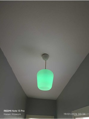 Allians Modern LED Tavan Lambası, Estetik ve Şık Tasarım, Enerji Tasarruflu