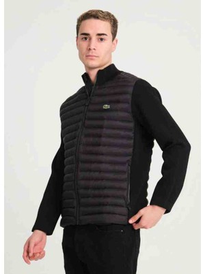 Lacoste Siyah Slim Fit Mevsimlik Mont