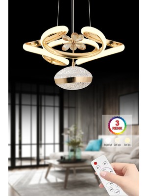 Allians Lina Tekli Gold Dreon Kasalı Modern LED Avize, 3 Renk Kumandalı