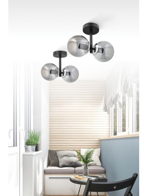 Allians Modern Füme Glob Camlı Çakra 2'li Plafonyer Avize, Şıklık ve Işık