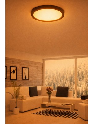 Allians Şık Yuvarlak Siyah Tavan Lambası, 24W Sarı Işık, 220V, Ofis & Kiler