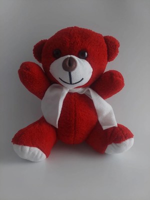 Yelpaze Dünyası Peluş Ayı Sevgiliye Konsept Hediye Seti Sevgililer Günü