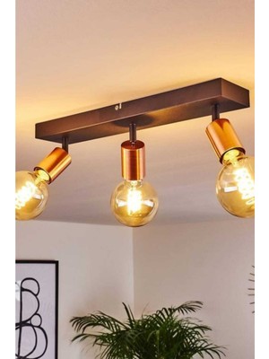 Allians Şık Siyah ve Bakır Renkli Modern Tavan Avize Seti