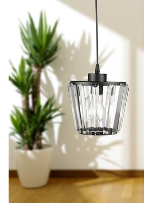 Allians Modern Siyah Tekli Avize ile Şıklık ve Zarafet