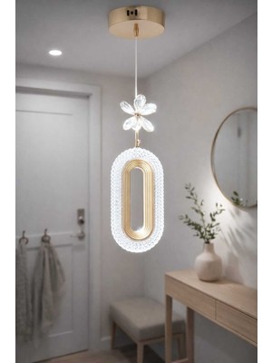 Allians Elips Tekli Sarkıt LED Avize, Modern ve Şık Tasarım, Renkli Aydınlatma