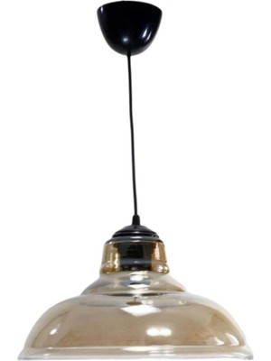 Allians Şık Füme Camlı Tekli Fanus, Modern ve Zarif Dekorasyon Parçası