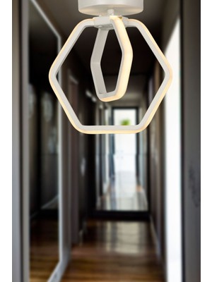 Allians Şık 3 Renk LED Tavan Montaj Avize, Modern ve Zarif Tasarım