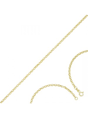 Altın Zincir T077080