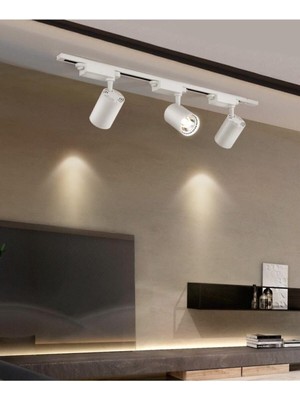 Allians Beyaz Metal Kasa Seti, Günışığı Renkli Spotlar, 4'lü, 30W LED Ray Spot, 1m Ray