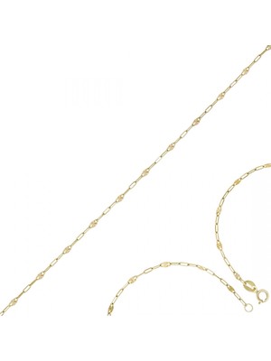 Altın Zincir T077057