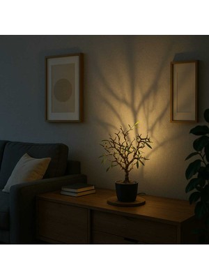 Allians El Işçiliği Doğal Ahşap Ağaç Abajur, 50 cm Yükseklik, Modern Tasarım