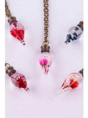 SiHako Sulu Çiçek Fanus Canlı Kolye