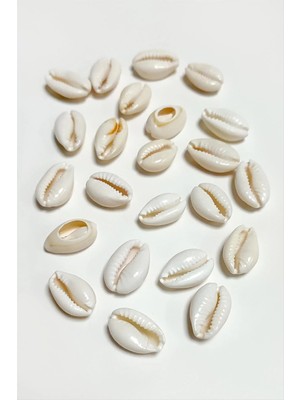 SiHako 10 Adet Orjinal Istiridye Aparatı Küçük