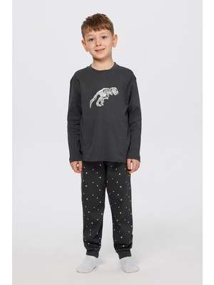 Panço Erkek Çocuk Dinozor Baskılı Antrasit Pijama Takımı