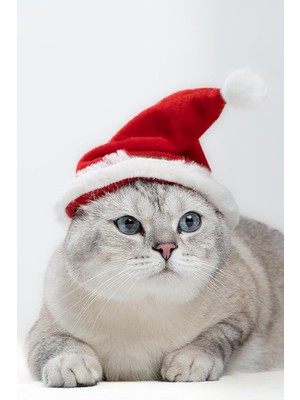 Storemax Uslucanmarketplace Yeni Yıl Kedi Şapkası Lastikli Yılbaşı Şapkası Yetişkin Kedi (Yetişkin)