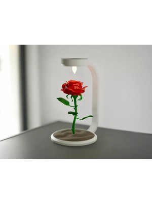 Allians 3D Işıklı Gül Gece Lambası, Romantik LED Masaüstü Dekorasyon
