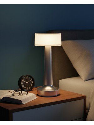 Allians 3 Fonksiyonlu Dokunmatik Masa Lambası, Gri, Şık ve Kullanışlı