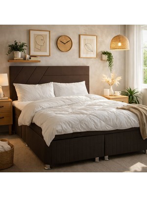 Late Baza Başlık Seti