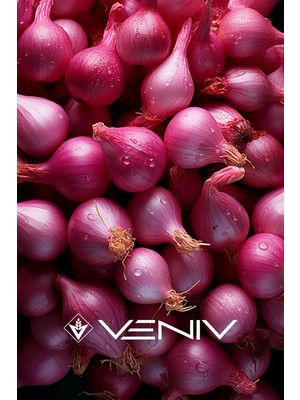 Veniv 90 Adet Mor Soğan Tohumu