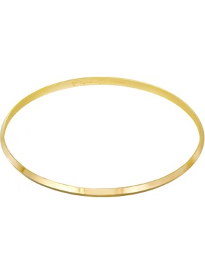 10 gr 22 Ayar Altın  3gen1 Işçiliksiz Bilezik