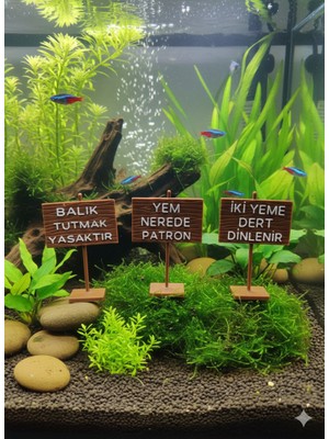 Akvaryumunuzun Enerjisini Değiştirin: Esprili 3’lü Mizah Tabelası Seti 7x5 cm