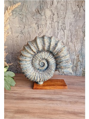 Tual Hobi Sanat Dekoratif Kaideli Deniz Kabuğu Biblo 30X30CM El Boyaması Ev Dekorasyon