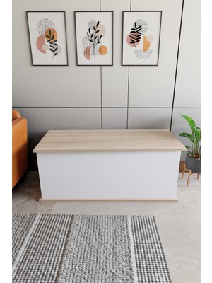 ODESSIA Sandık Dekoratif Ahşap Lüks Sandık Çeyiz Sandığı Salon Antre Mobilyası Organizer  Sonomo-Beyaz 100cm