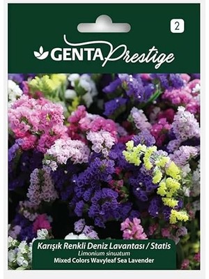 Prestige Karışık Renkli Deniz Lavantası/statis Çiçek Tohumu