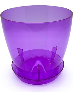 Orkide Saksı Tabağı Seffaf-Mor 3lt