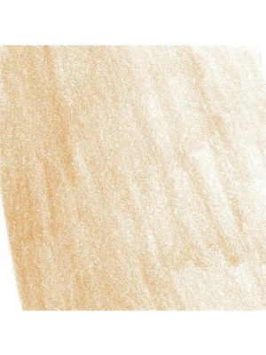 Pitt Pastel Boya Kalemi Renk 183 [büro Malzemeleri ve Yazı Gereçleri]