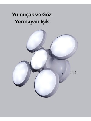 Najmaddin 5 Kanatlı Solar Kamp Lambası – USB Şarjlı, Taşınabilir, IP65 Su Geçirmez Bahçe Lambası