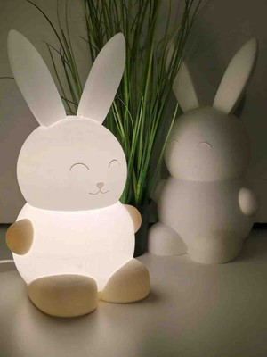 Kamer LED Işıklı Masa Lambası