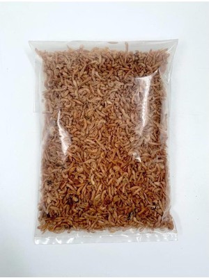 Storemax Oktaysell Ans 25 gr Gammarus Karides Kaplumbağa Yemi